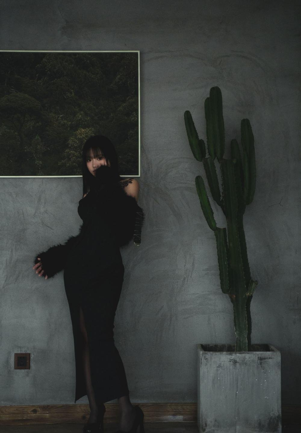 ����AƬ����һ����������