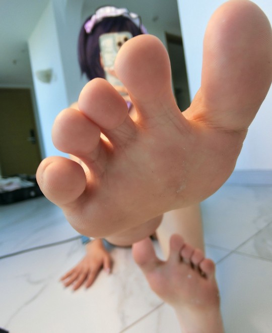 肯豆的全课照片