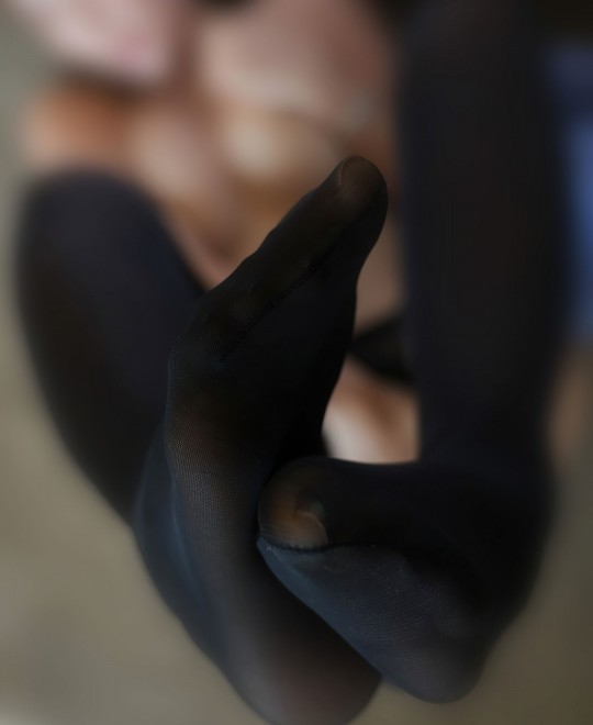 ������Ц���ս�Ŀ